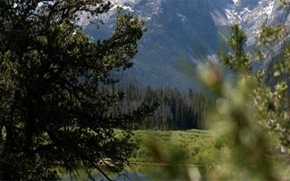airloom_wyoming_placeholder.jpg