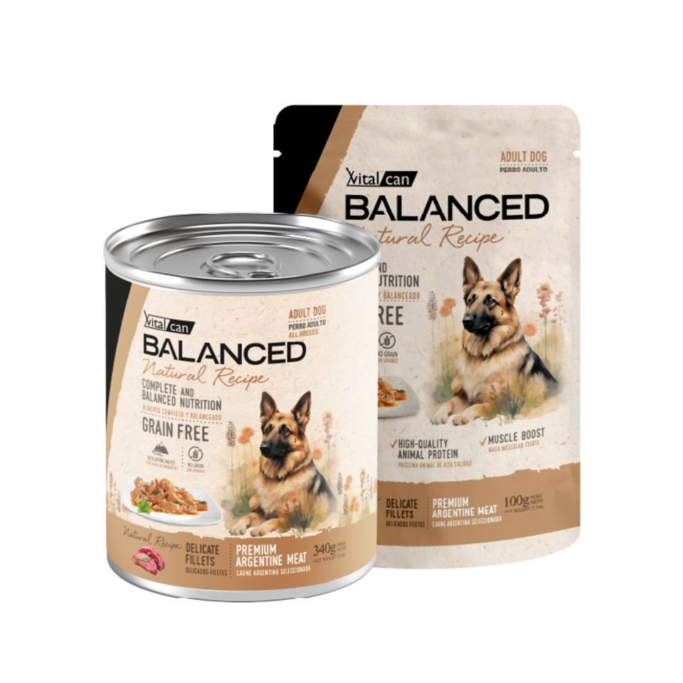 Vital Can Balanced Natural Recipe - Perros Adultos - Húmedo - Delicados Filetes - Carne
