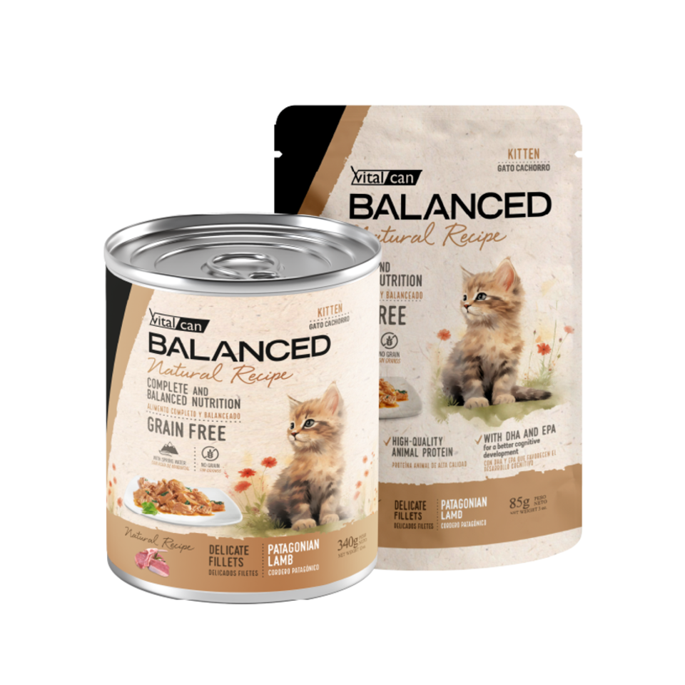 Vital Can Balanced Natural Recipe - Gatitos - Húmedo - Delicados Filetes - Cordero