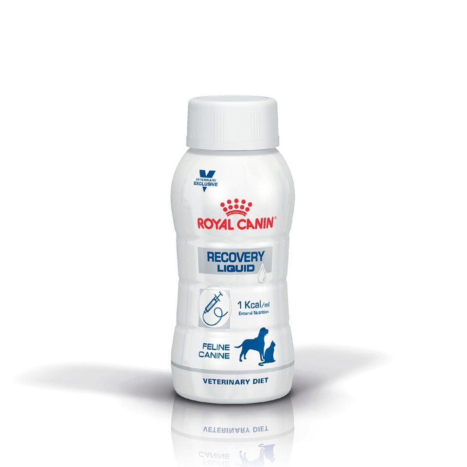 Envase de alimento Royal Canin Recovery Liquid Dog & Cat para perros