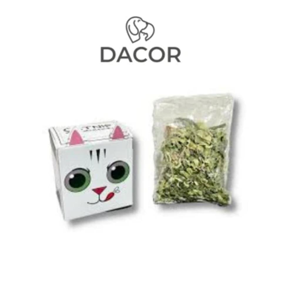 Catnip deshidratado Zootec