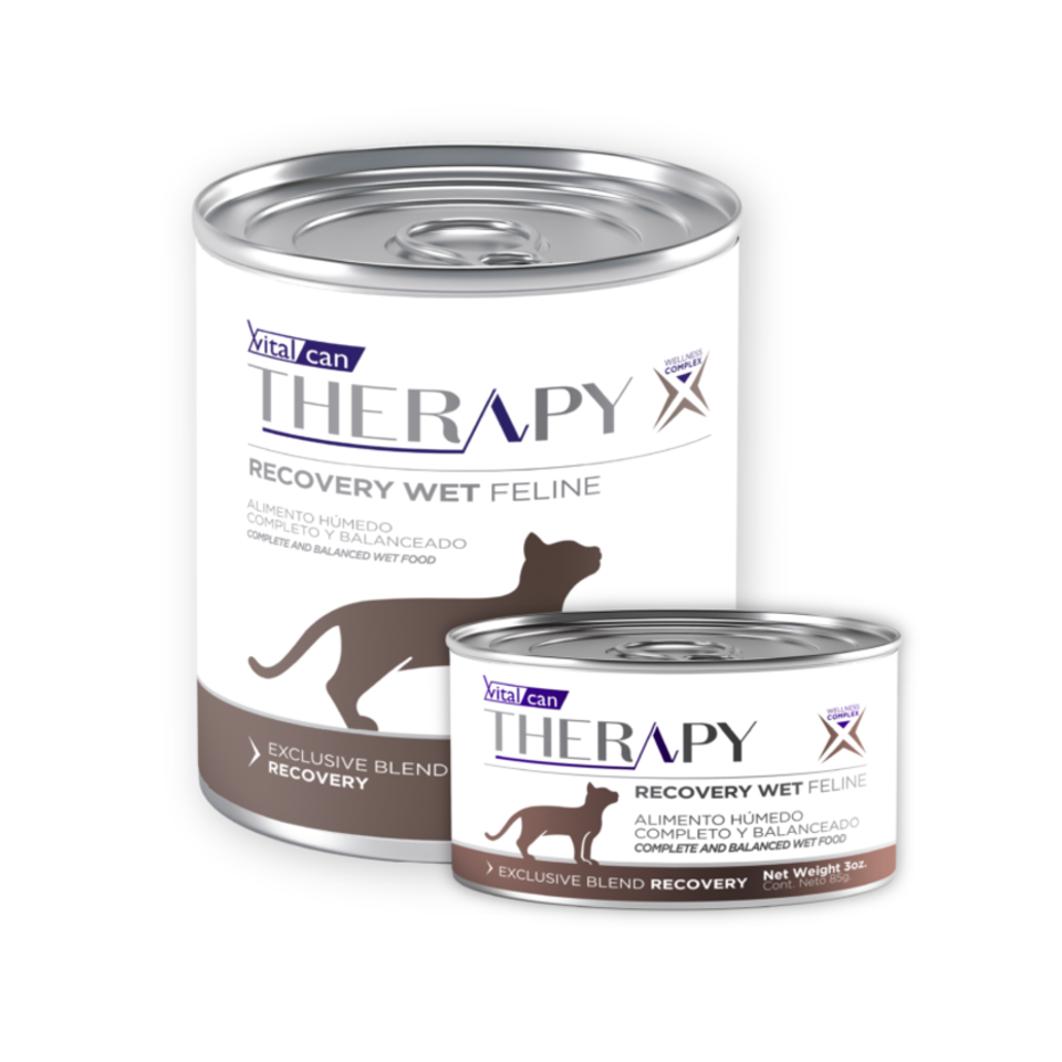 Vital Can Therapy - Gatos - Húmedo - Recovery Wet