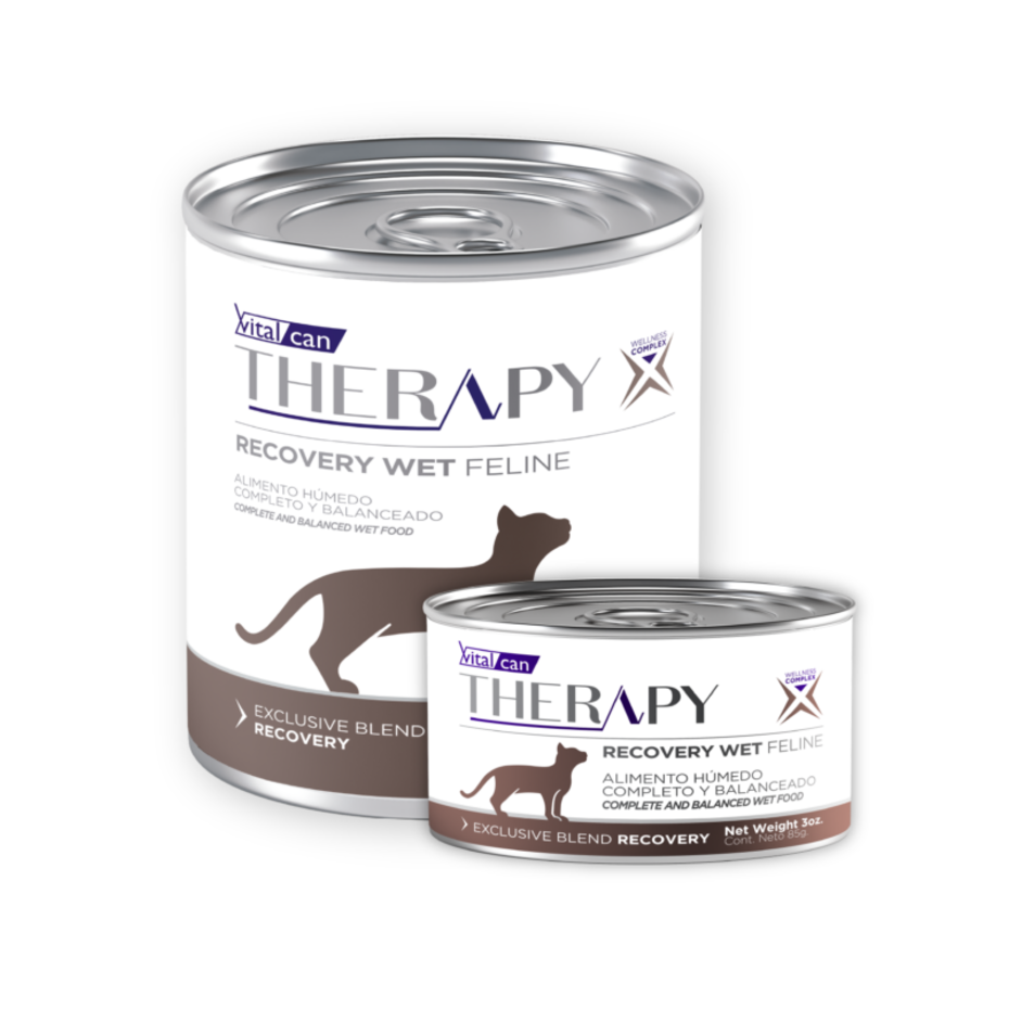 Vital Can Therapy - Gatos - Húmedo - Recovery Wet
