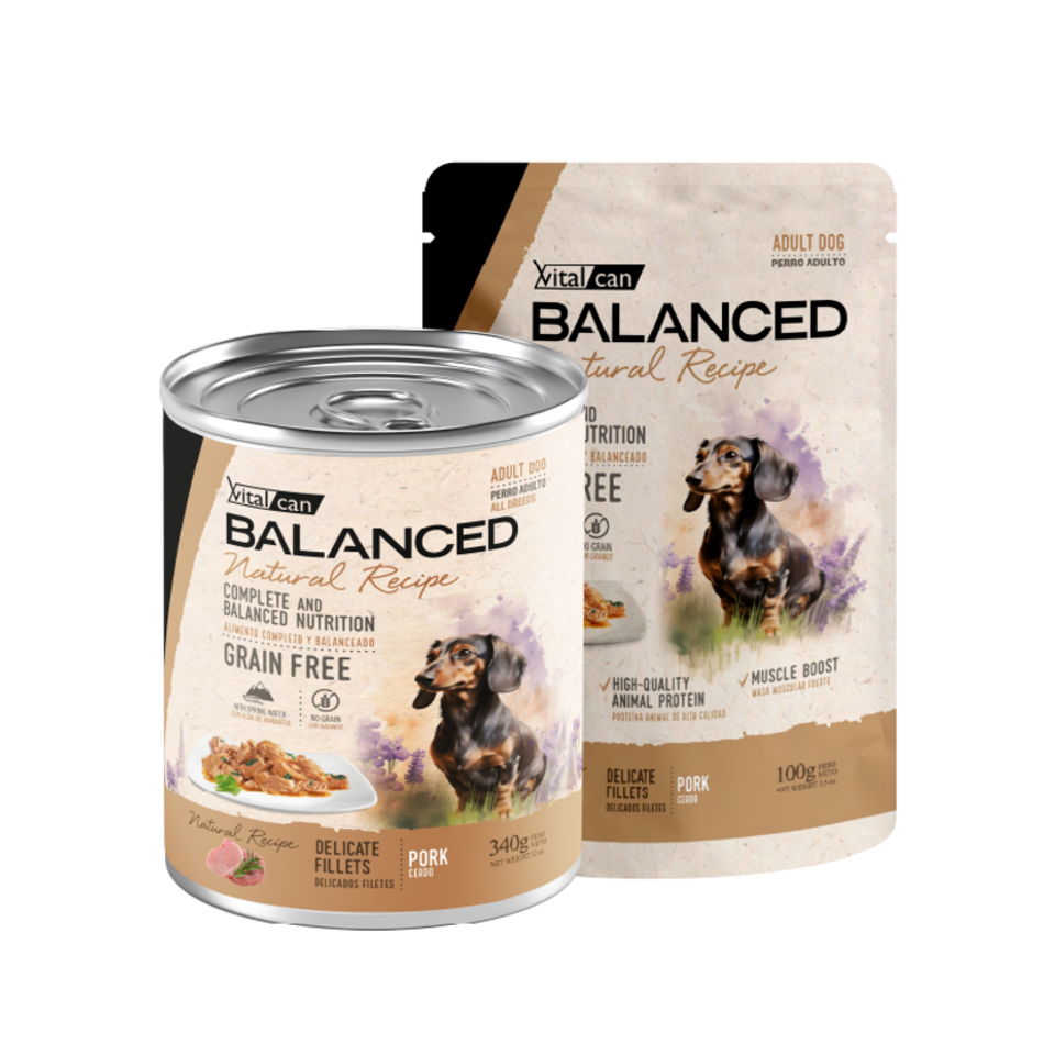 Vital Can Balanced Natural Recipe - Perros Adultos - Húmedo - Delicados Filetes - Cerdo