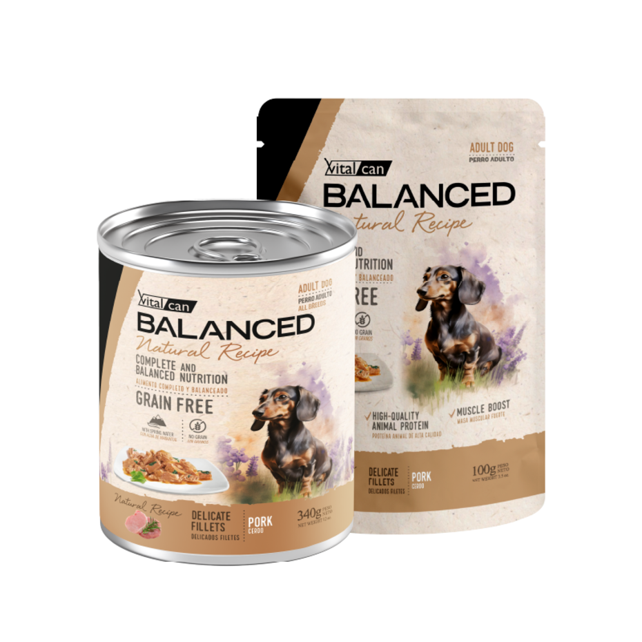Vital Can Balanced Natural Recipe - Perros Adultos - Húmedo - Delicados Filetes - Cerdo