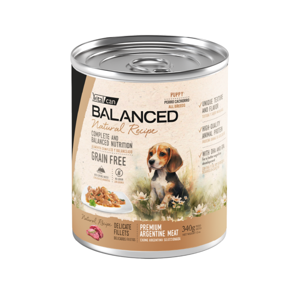 Vital Can Balanced Natural Recipe - Perros Cachorros - Húmedo - Delicados Filetes - Carne