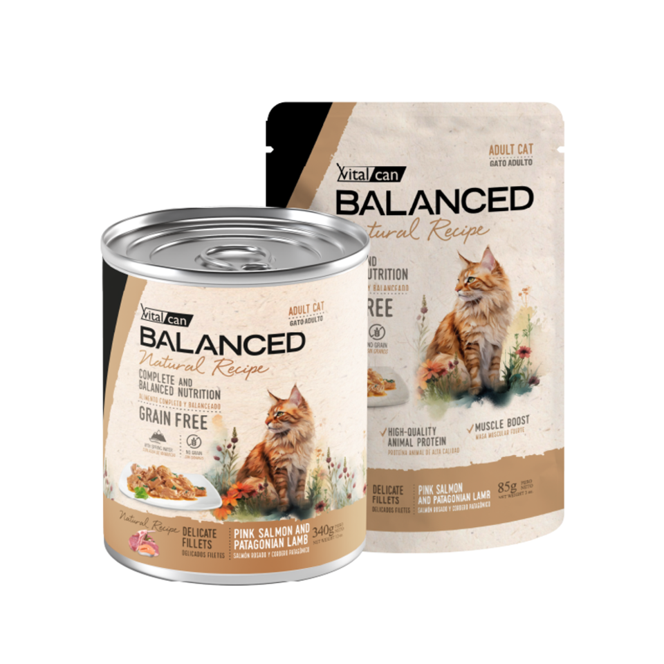 Vital Can Balanced Natural Recipe - Gatos Adultos - Húmedo - Delicados Filetes - Salmón y Cordero