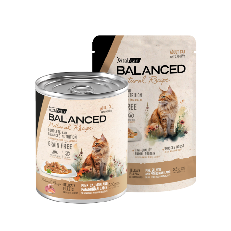 Vital Can Balanced Natural Recipe - Gatos Adultos - Húmedo - Delicados Filetes - Salmón y Cordero