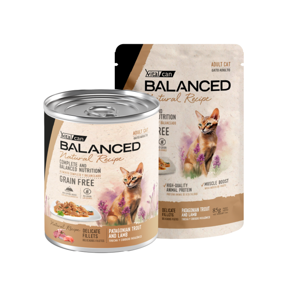 Vital Can Balanced Natural Recipe - Gatos Adultos - Húmedo - Delicados Filetes - Trucha y Cordero