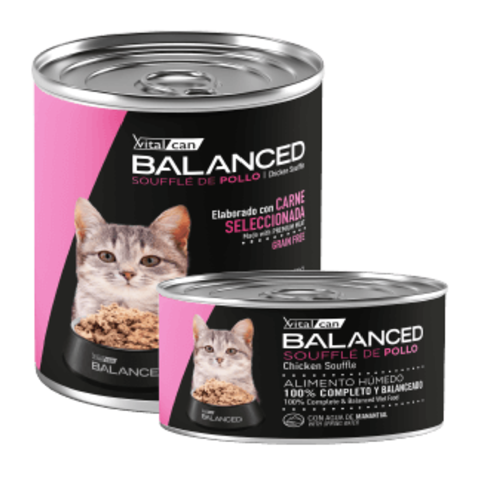 Vital Can Balanced - Gatitos - Húmedo - Soufflé - Pollo
