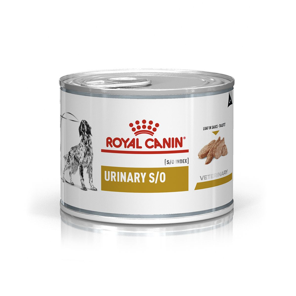 Envase de alimento Royal Canin Urinary S/O para perros