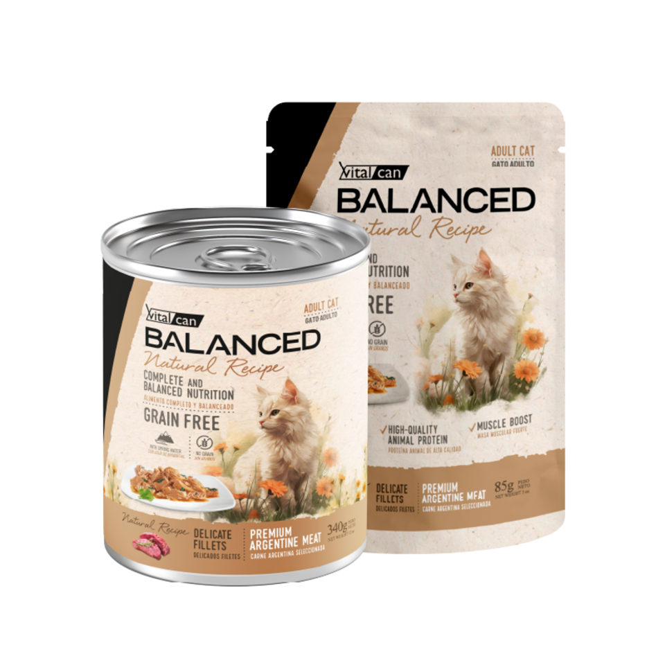 Vital Can Balanced Natural Recipe - Gatos Adultos - Húmedo - Delicados Filetes - Carne