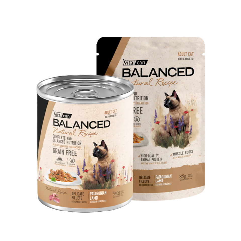 Vital Can Balanced Natural Recipe - Gatos Adultos - Húmedo - Delicados Filetes - Cordero