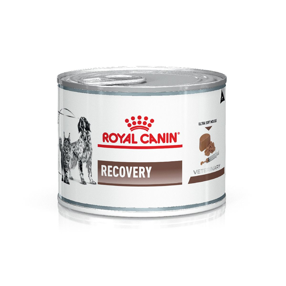 Envase de alimento Royal Canin Recovery para perros