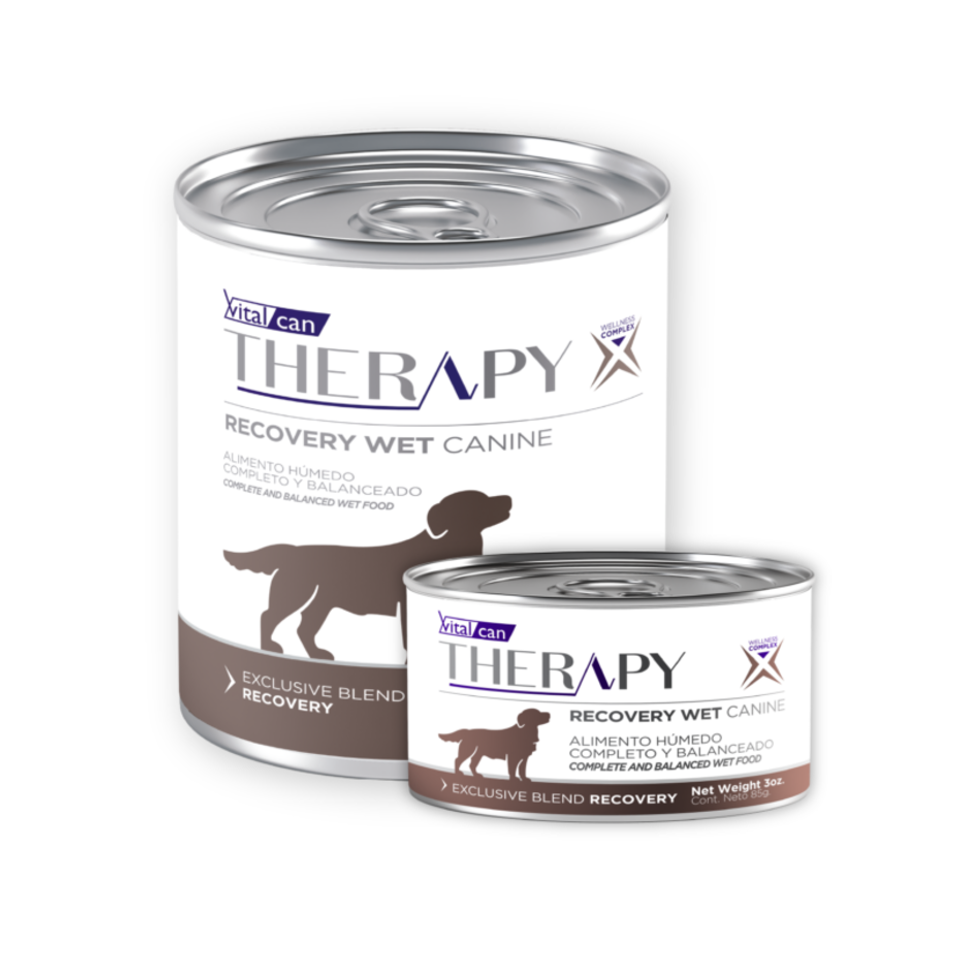 Vital Can Therapy - Perros - Húmedo - Recovery Wet