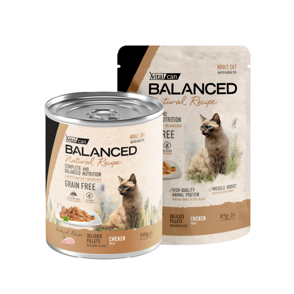 Vital Can Balanced Natural Recipe - Gatos Adultos - Húmedo - Delicados Filetes - Pollo