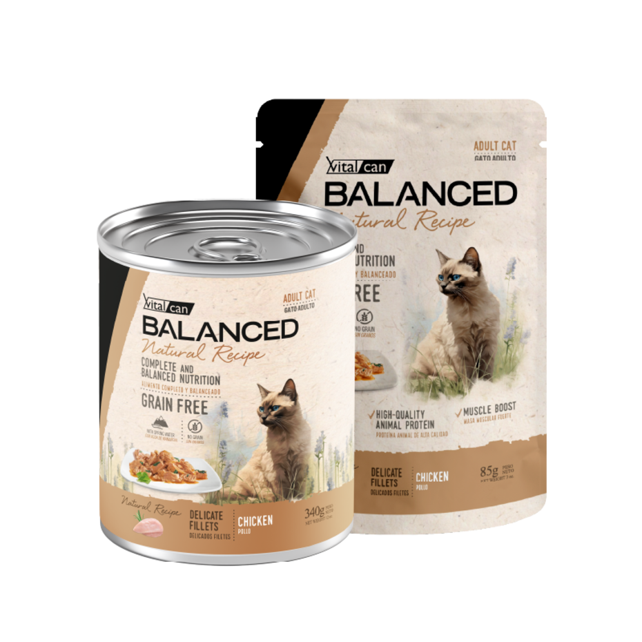 Vital Can Balanced Natural Recipe - Gatos Adultos - Húmedo - Delicados Filetes - Pollo