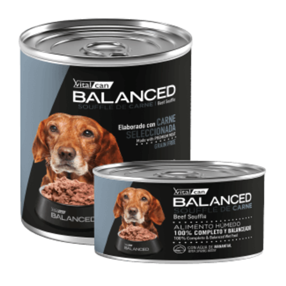 Vital Can Balanced - Perros Senior - Húmedo - Soufflé - Carne