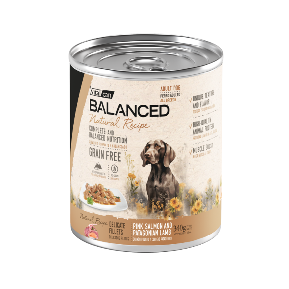 Vital Can Balanced Natural Recipe - Perros Adultos - Húmedo - Delicados Filetes - Salmón y Cordero