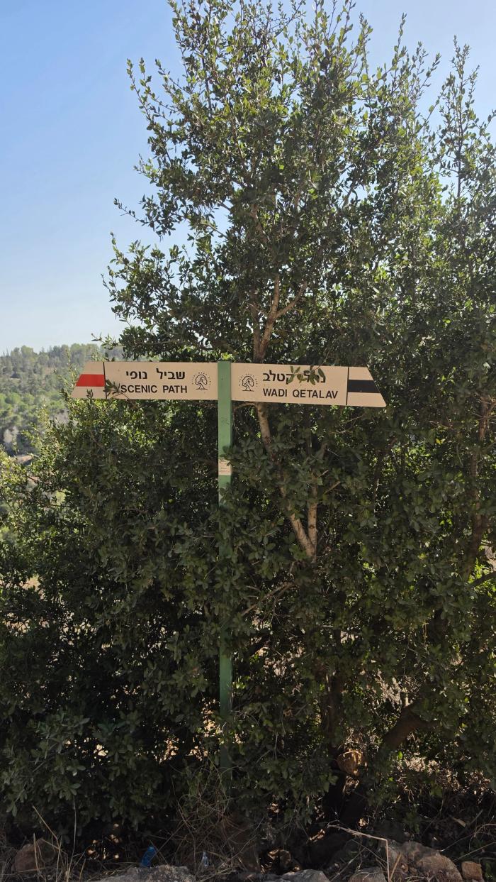 המשיכו במסלול השחור לנחל קטלב