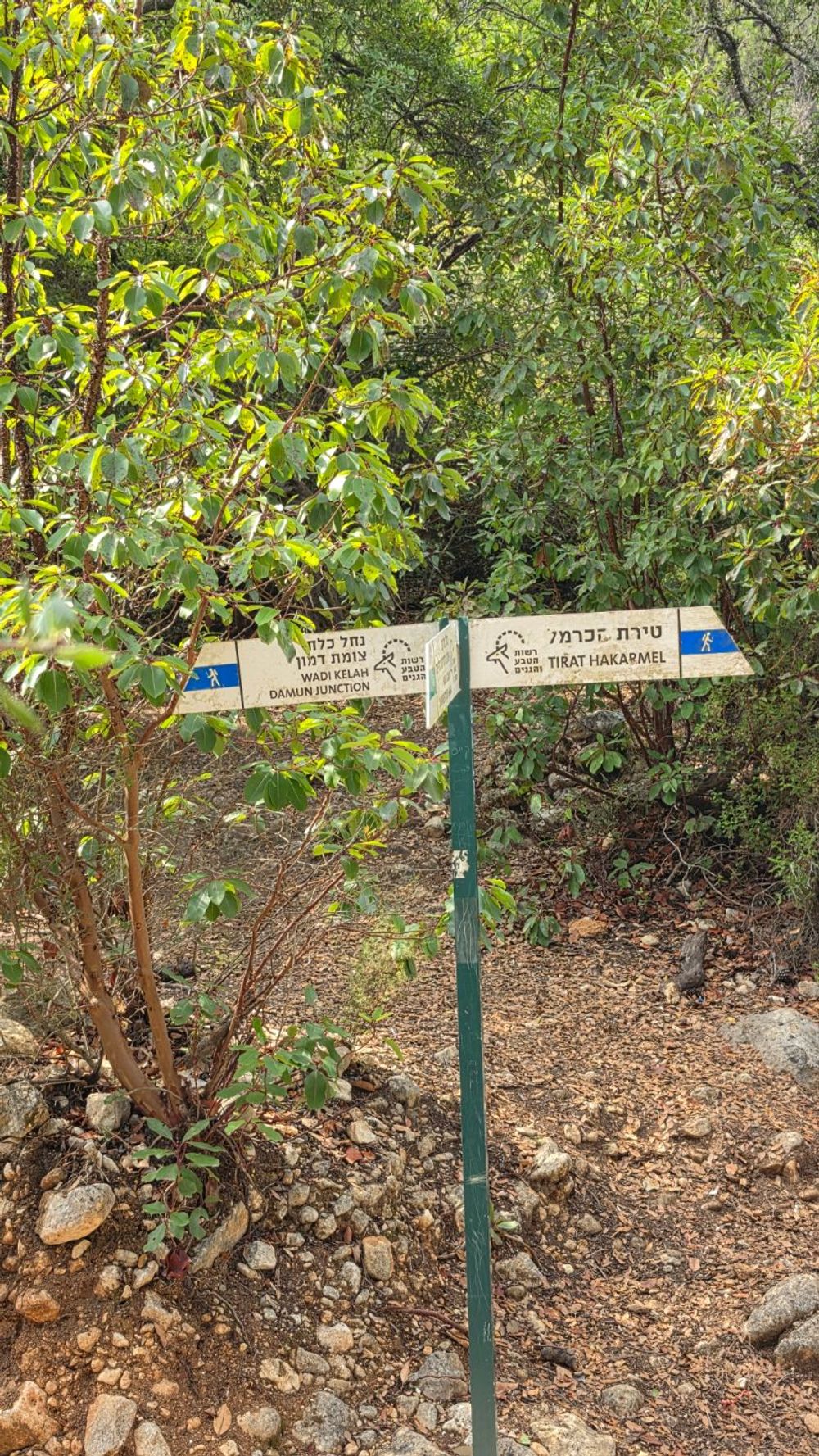 שלט השביל הכחול לנחל כלח