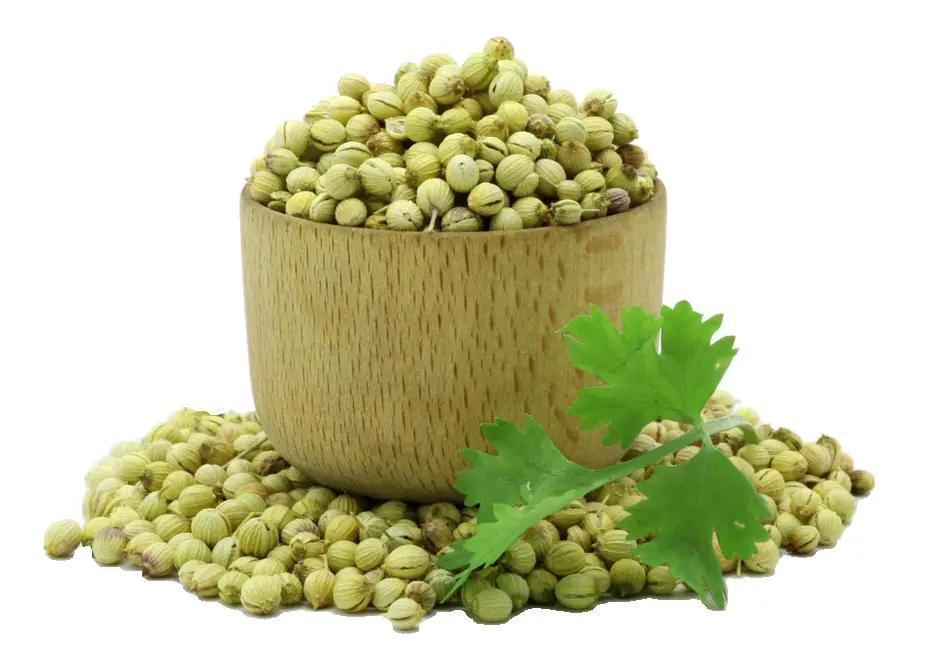 Green Coriander Seeds