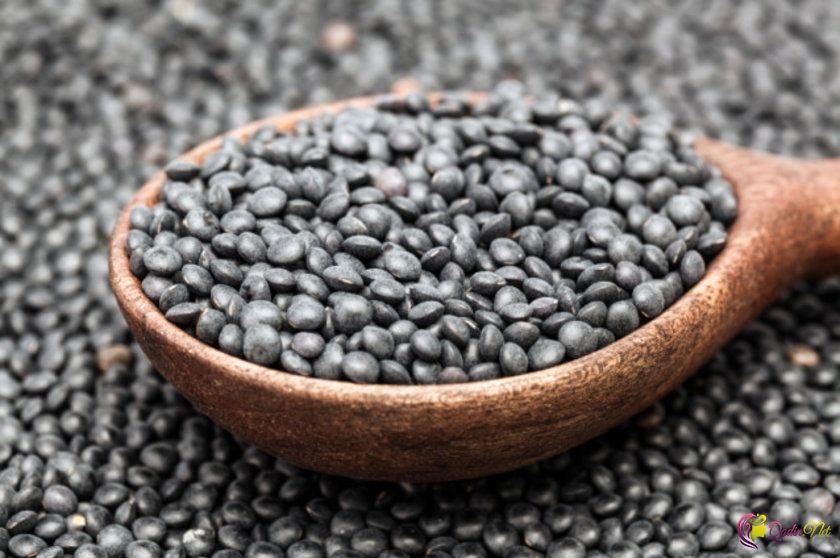 Black Lentils