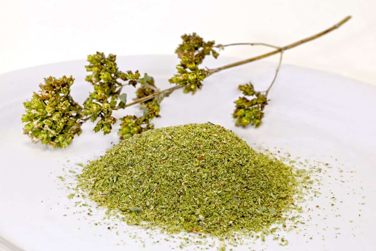 Oregano