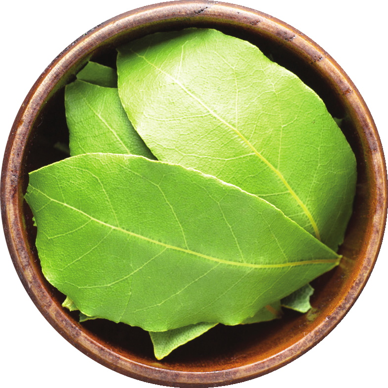 Bay Leaf