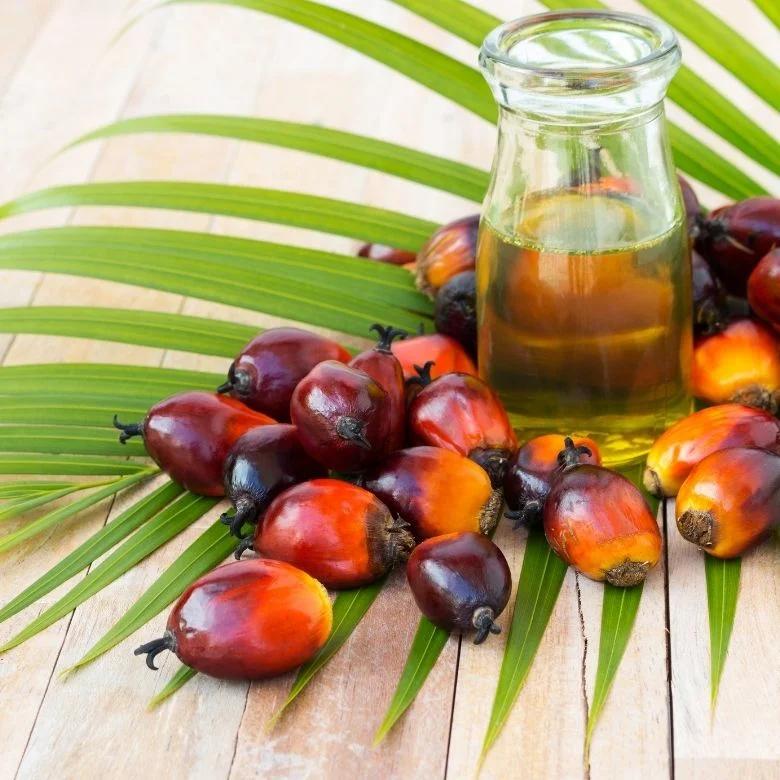 Palm Oil