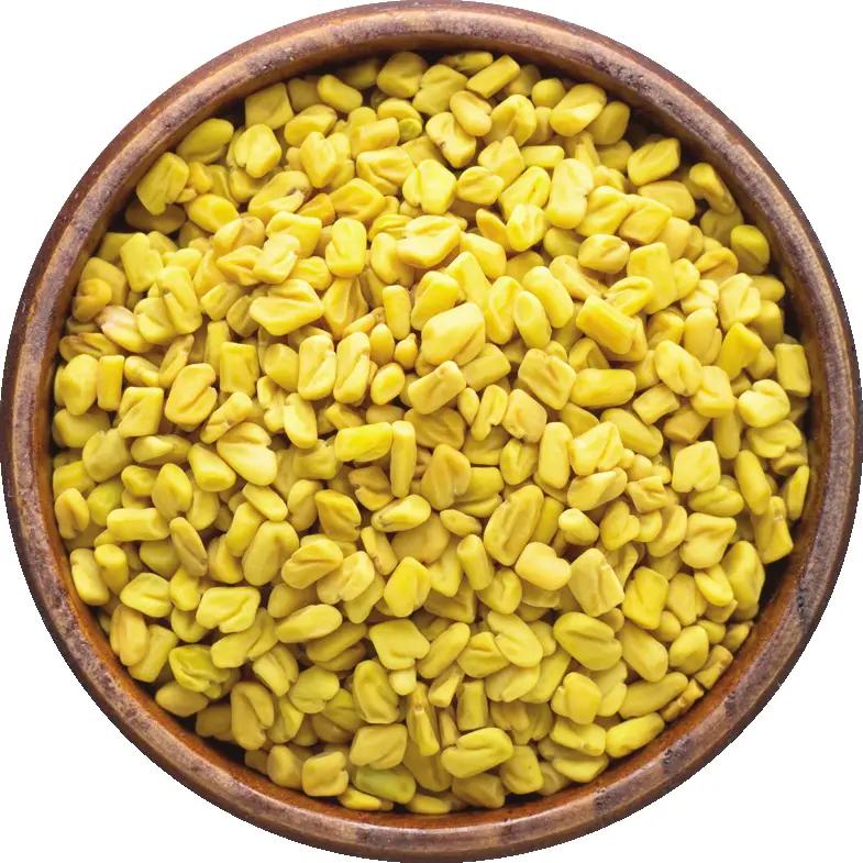 Fenugreek