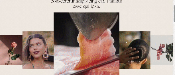 Academia Veneria