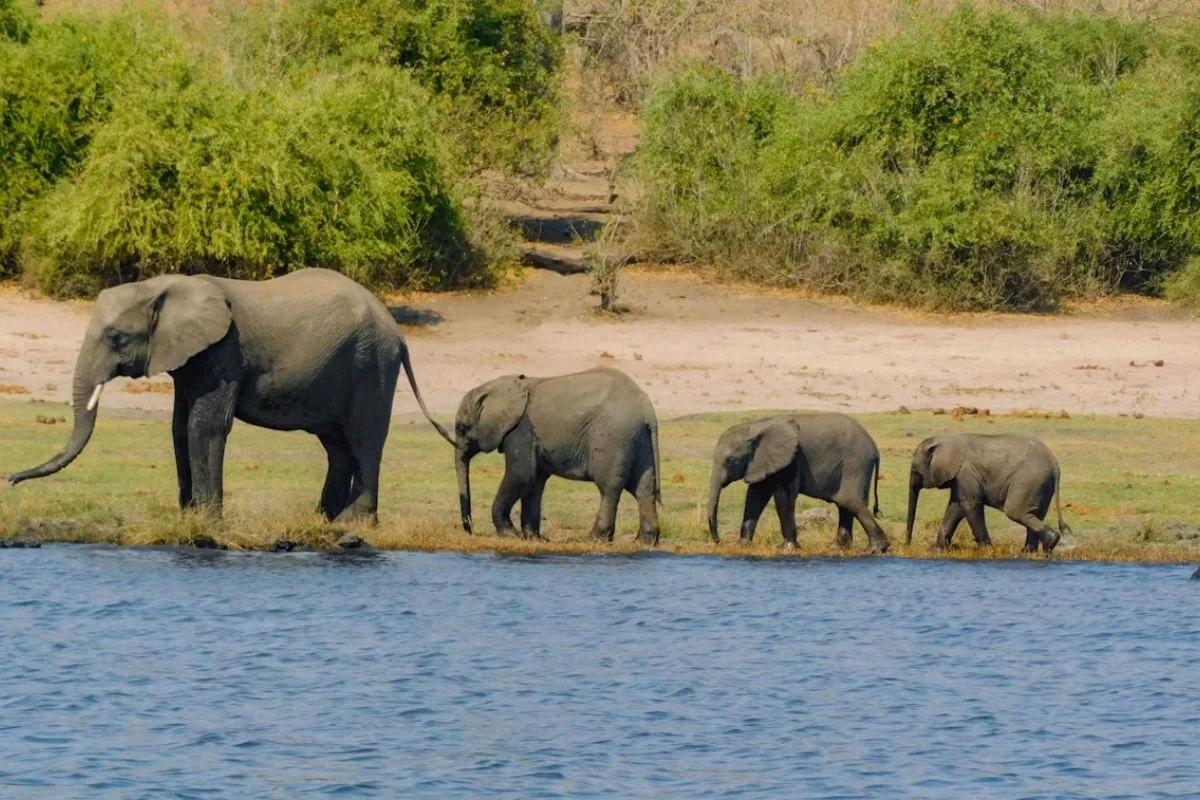 Requisitos para viajar a Botswana desde México