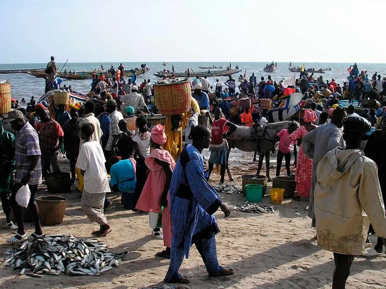 mejor seguro para viajar a Senegal
