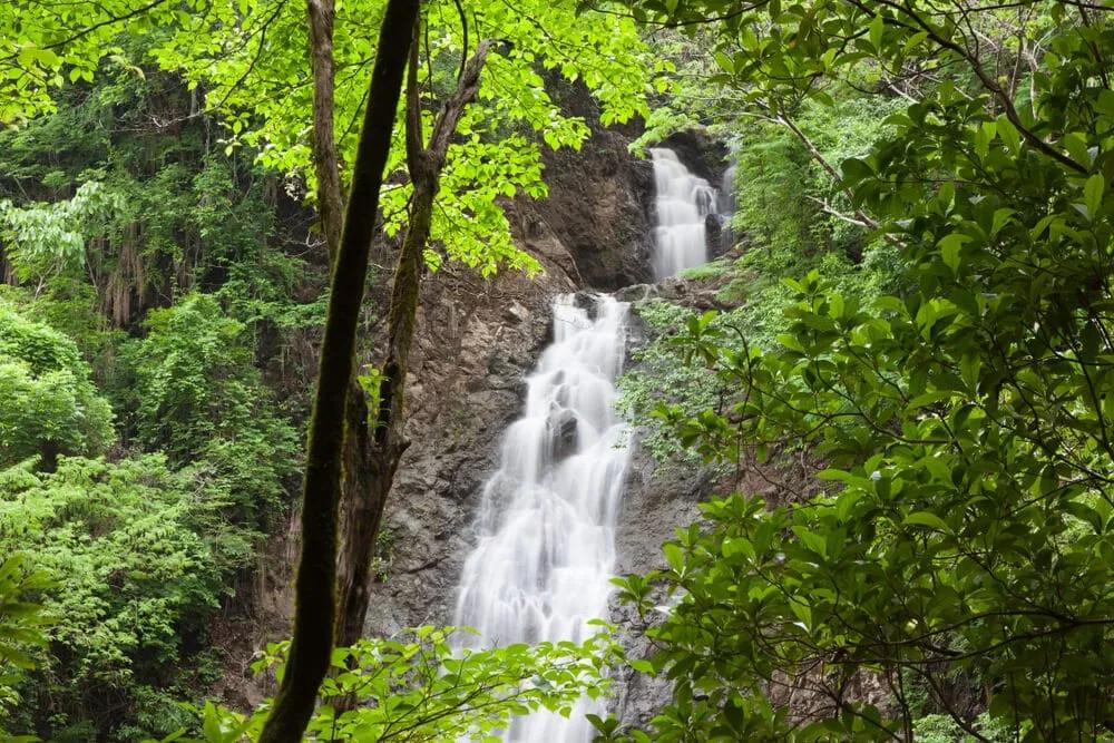 montezuma na costa rica
