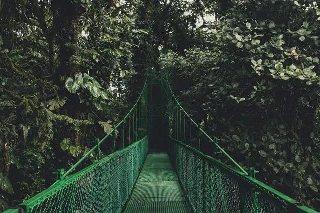 ponte suspensa na floresta costa rica