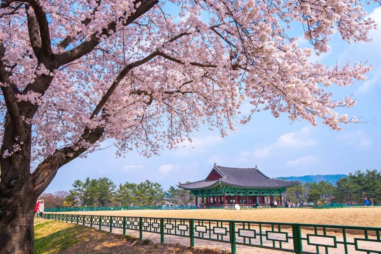 Requisitos de colombianos para viajar a Korea