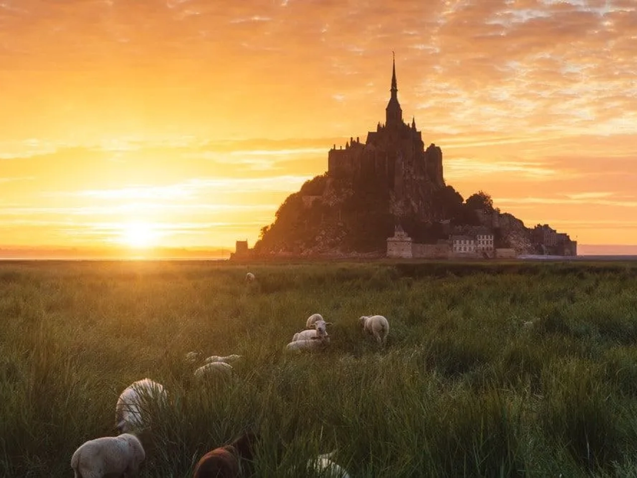 Bretaña y Normandia en familia