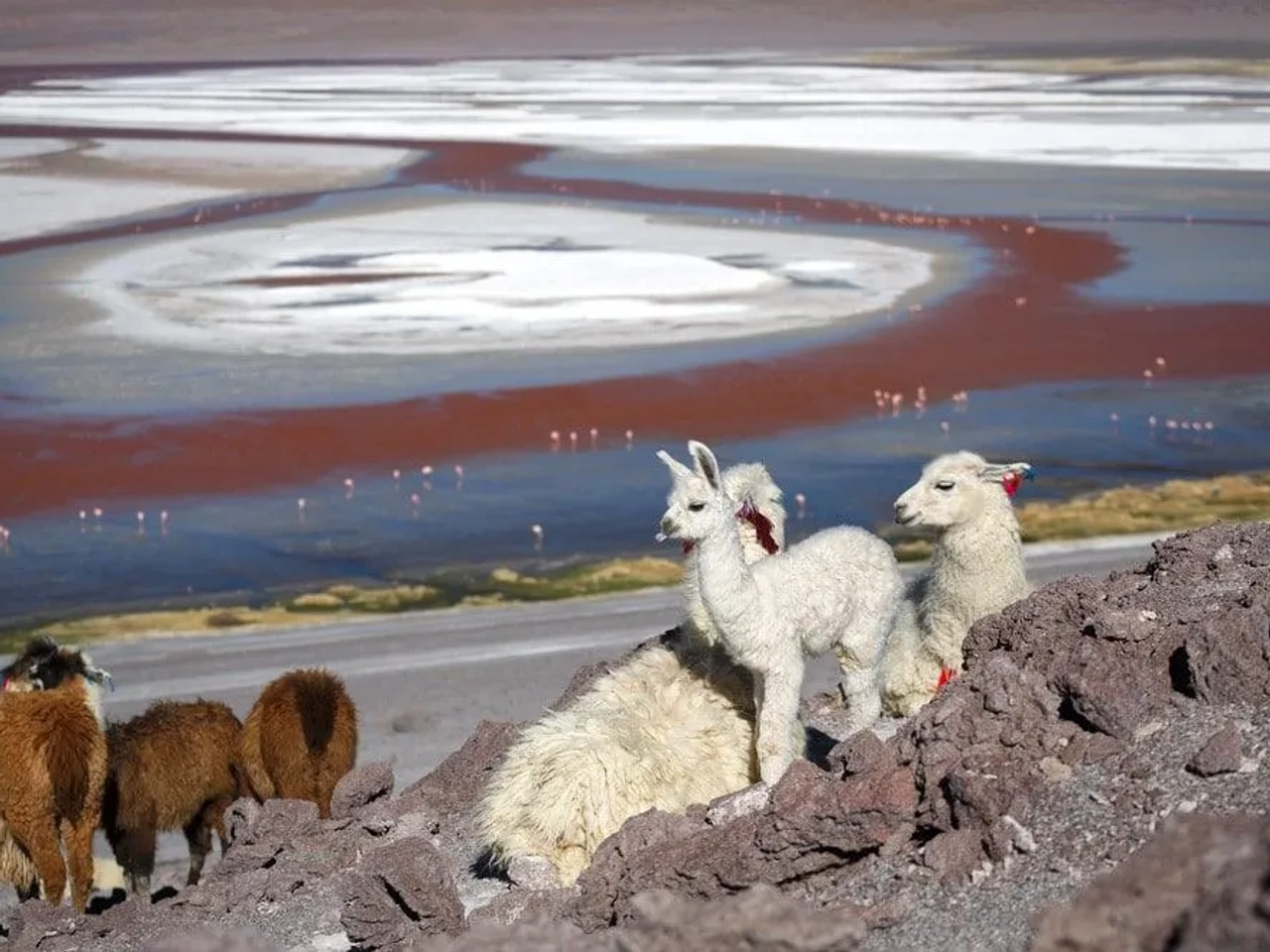 viajar al salar de Uyuni