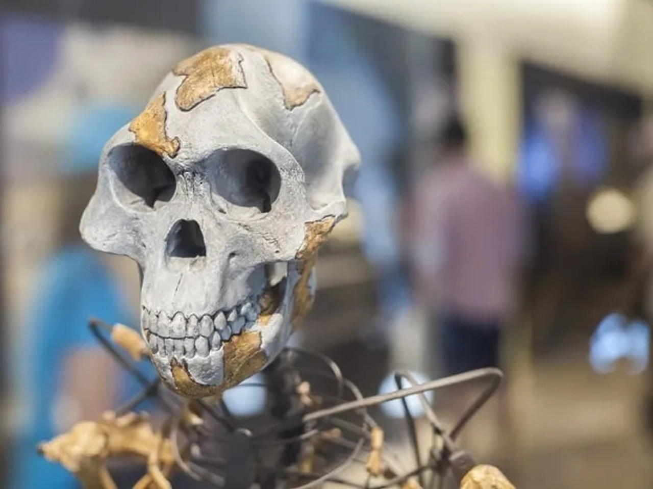 Que hacer en Etiopía