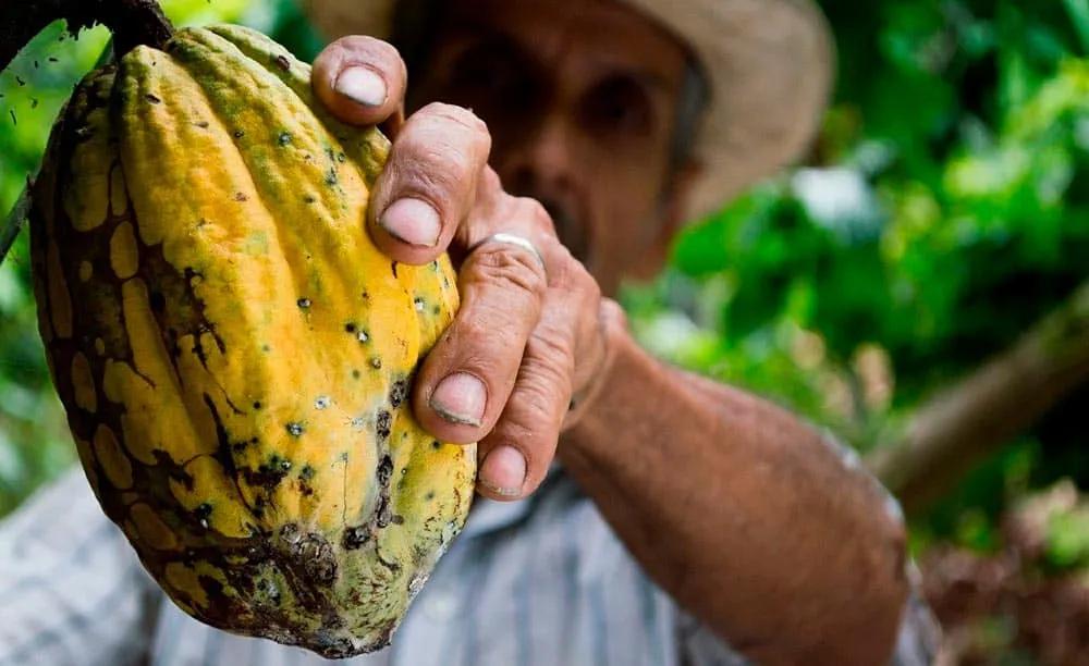 contratar seguro de viaje a Colombia