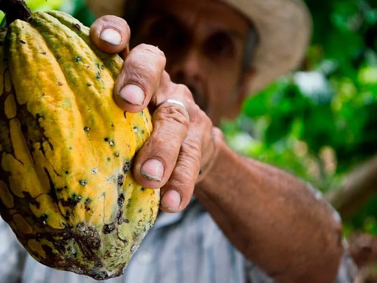 contratar seguro de viaje a Colombia