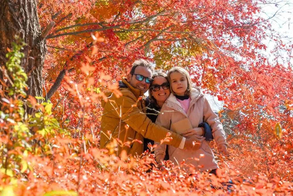 viajar a Japón en noviembre