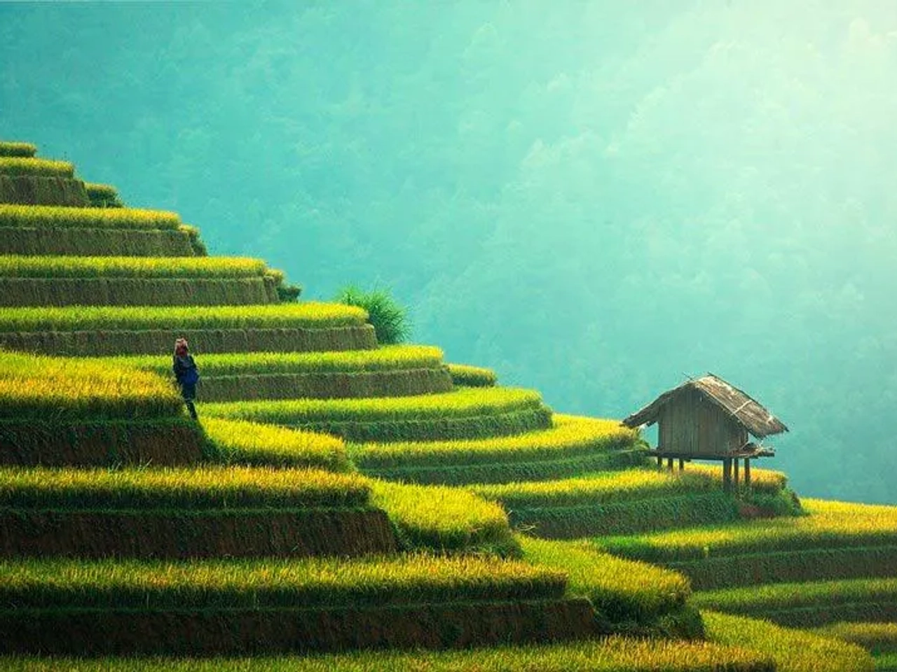 Seguro médico internacional para viaje a Tailandia