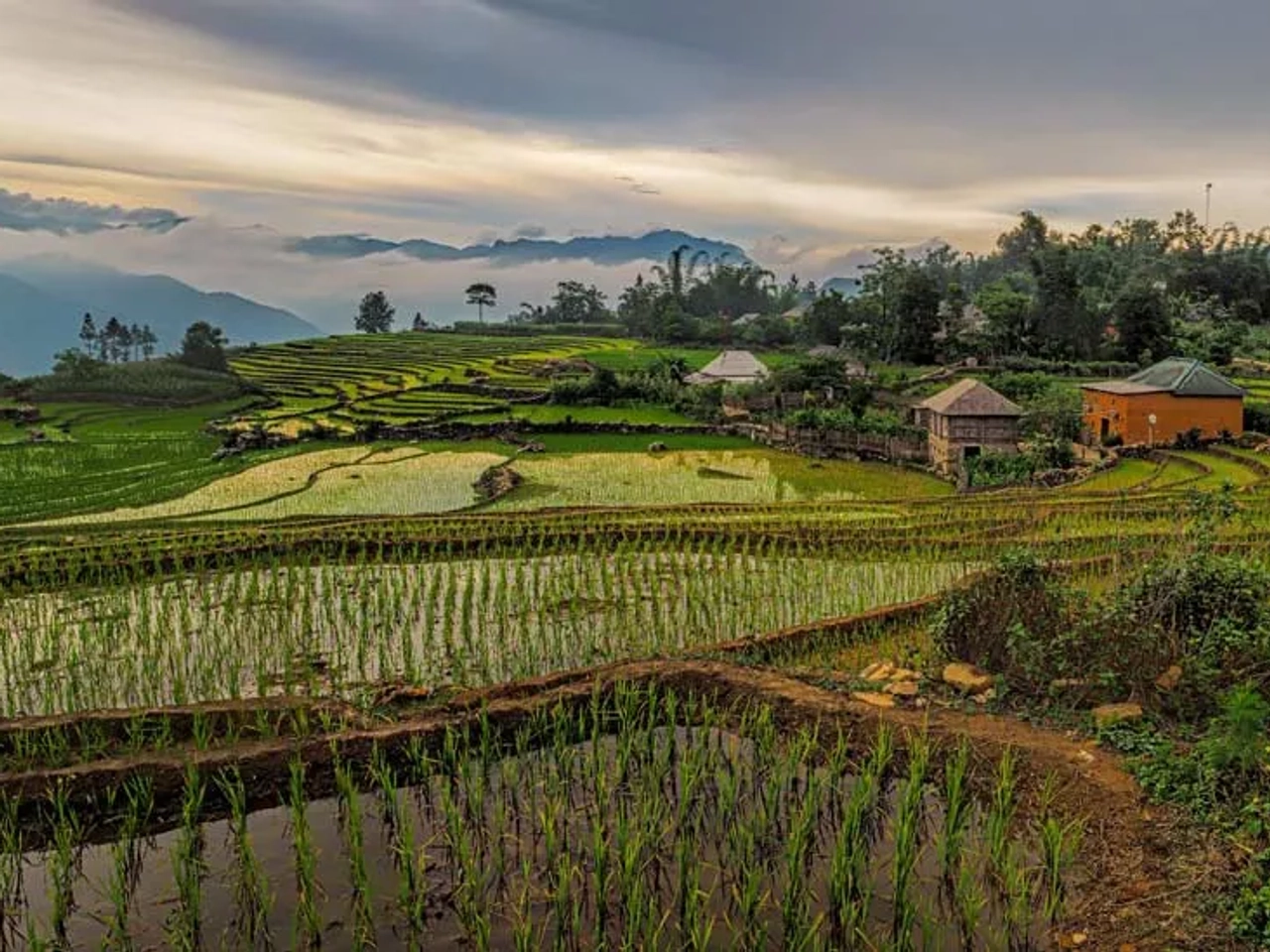 Destinos recomendables para viajar sola por Vietnam - ¿Qué hacer sola en Vietnam?