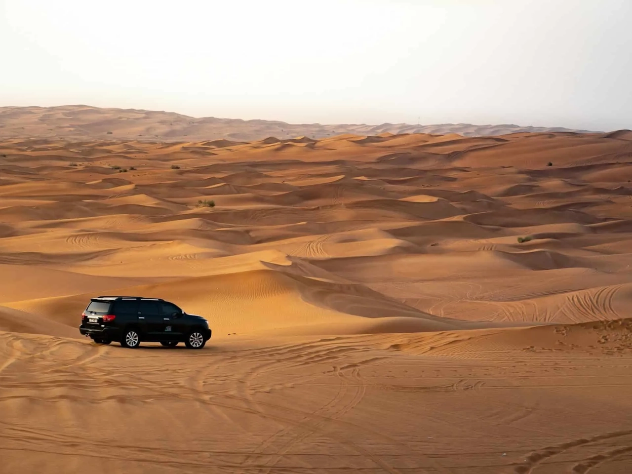 póliza de viaje Emiratos Árabes