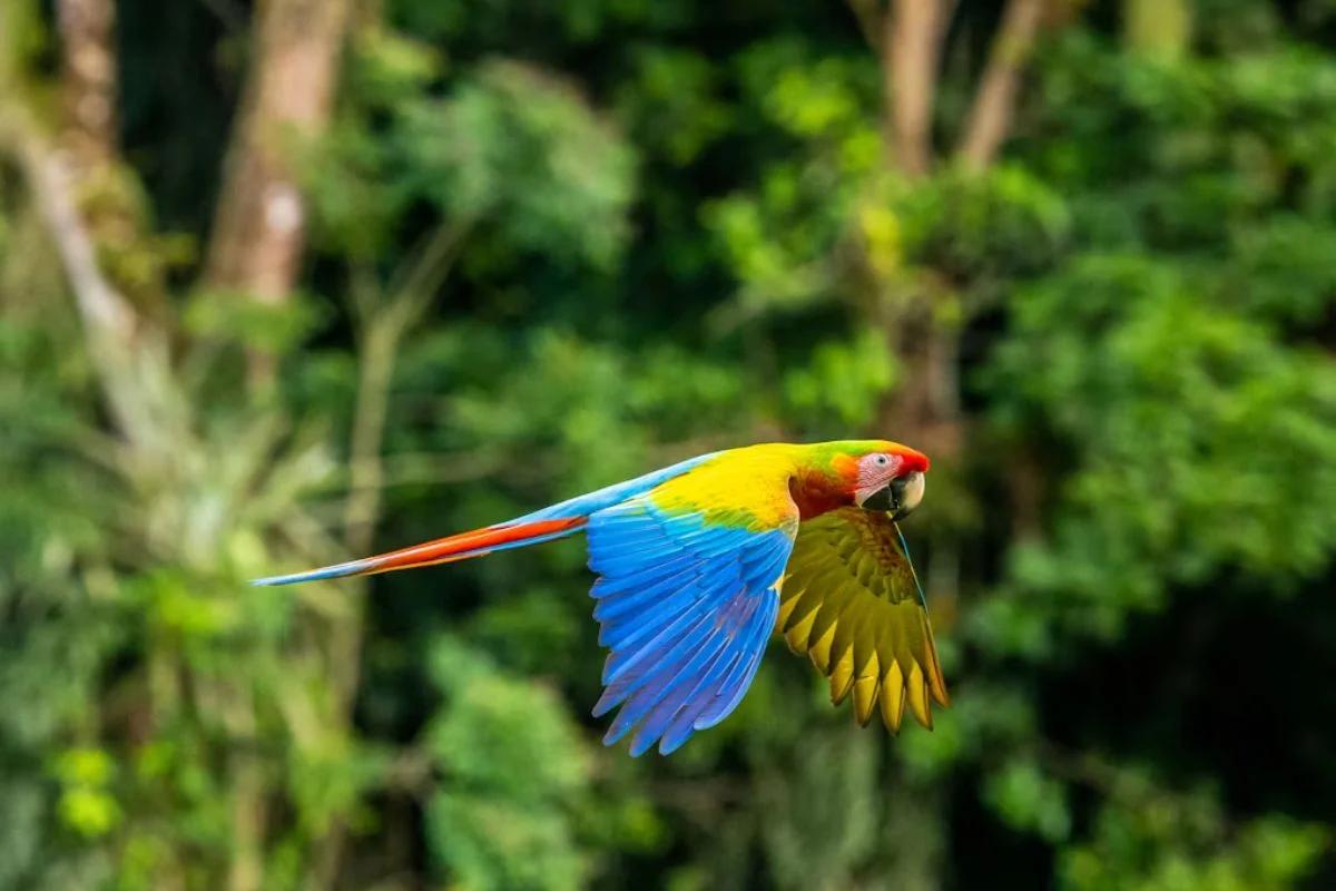 Seguro de viaje Costa Rica