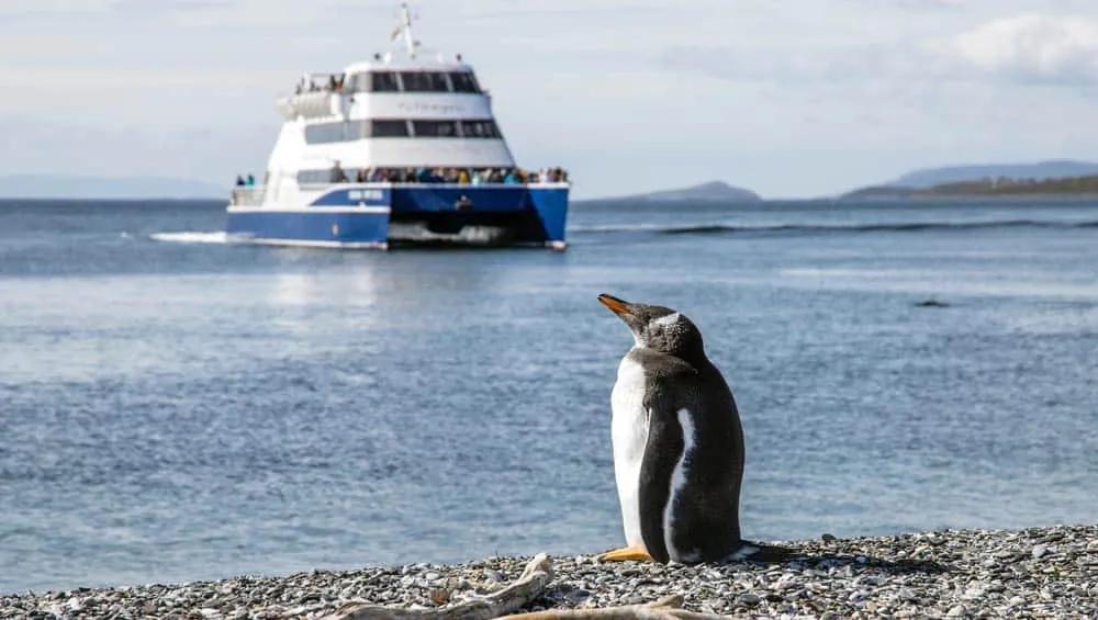 póliza internacional para viaje