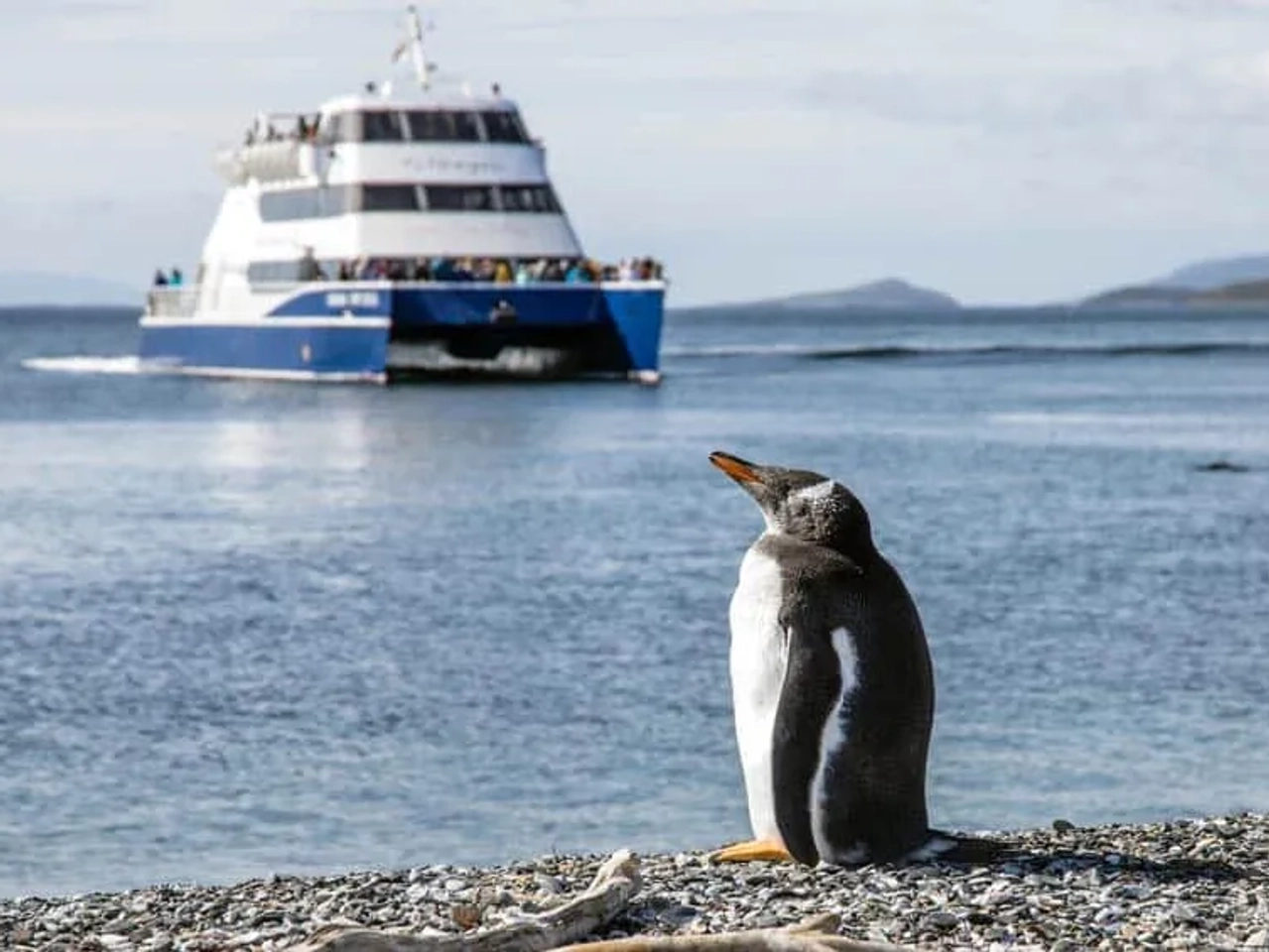 póliza internacional para viaje