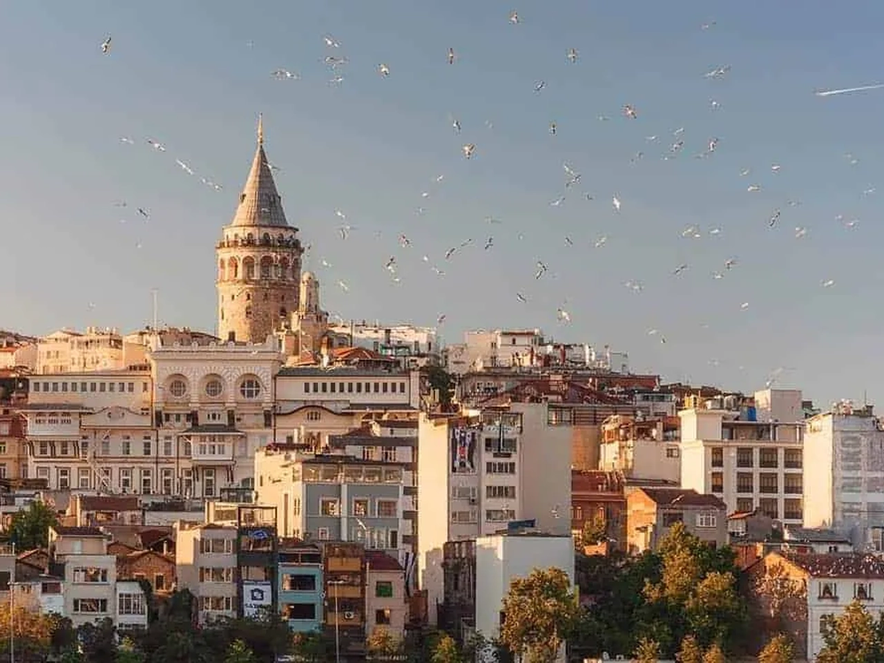 Vista da Torre de Gálata em Istambul, cercada por edifícios e pássaros.